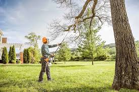 Best Lawn Irrigation Installation and Maintenance  in Terra Bella, CA