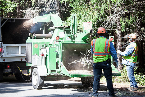 Best Aeration Services  in Terra Bella, CA